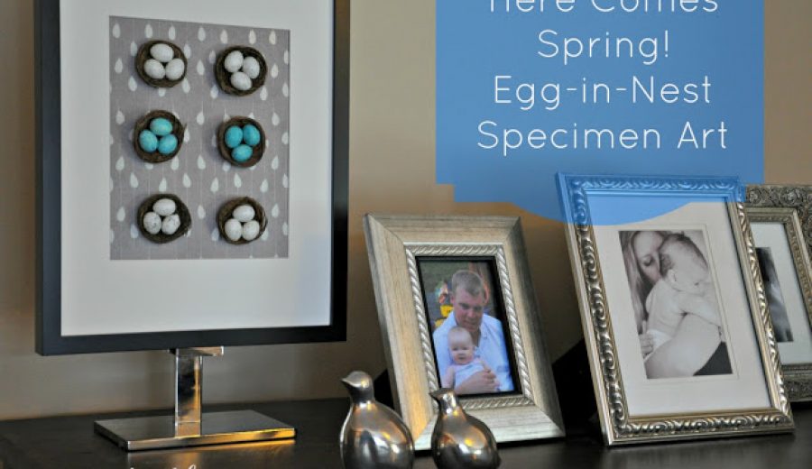 Springtime Is Near: Egg-in-Nest Specimen Art (from the dollar store!)